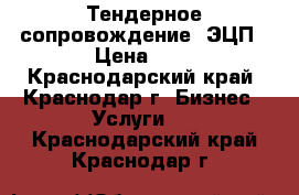 Тендерное сопровождение. ЭЦП › Цена ­ 1 - Краснодарский край, Краснодар г. Бизнес » Услуги   . Краснодарский край,Краснодар г.